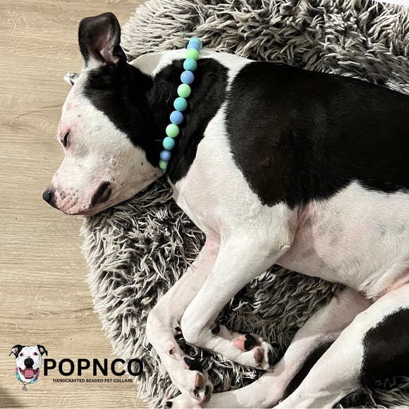 Handcrafted Beaded Dog Collar - Luna - Teal and Green Collar - Picture 4 of 16